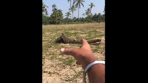 REAL TELEKINESIS. Compilation 0.👌