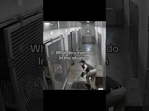 #memeanimation