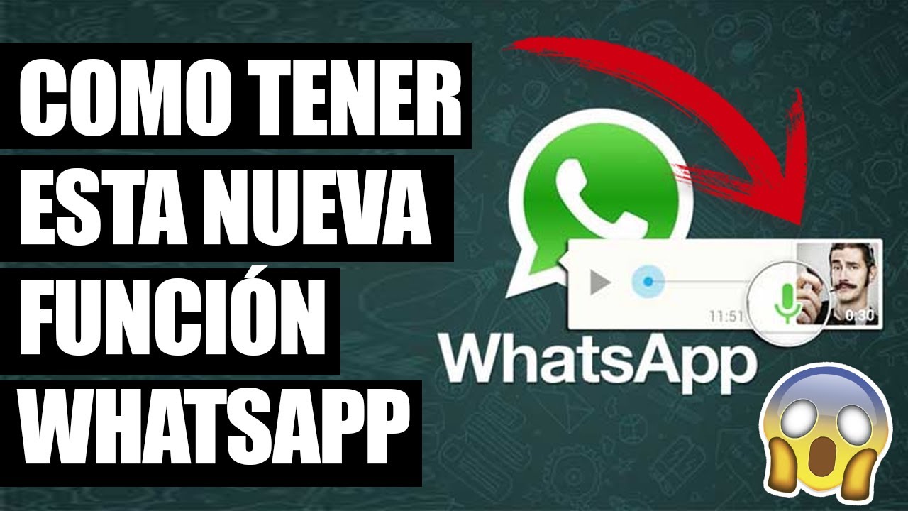 Esta es la NUEVA Función que Debes Activar en Whatsapp Ahora! Para ...