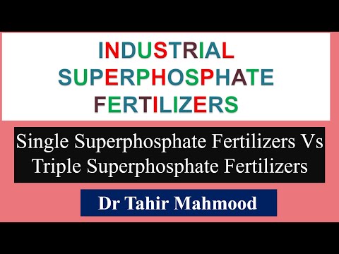 Video: Double Superphosphate: Komposisyon Ng Pataba, Mga Tagubilin Para Sa Paggamit Sa Hardin Sa Taglagas At Sa Iba Pang Mga Oras. Tumatanggap Nito