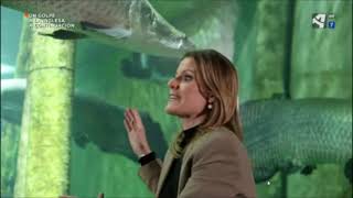 EL Río Ebro en el Acuario de Zaragoza