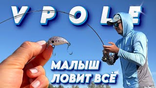 Ловля вприглядку с поверхности. Форель в Жару на безлимите VPOLE