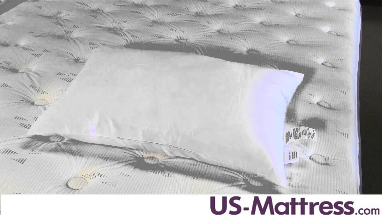 DreamFit Perfect Plush Pillow YouTube