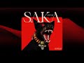 SHINJI SAKA Music Audio 