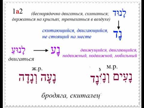 Урок № 81  Модели имён от форм настоящего времени "пустых" глаголов "лёгкого" биньяна