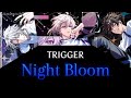 Night Bloom - TRIGGER - Lyrics [ kan / rom / per / arb ]