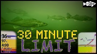 Why Early Ice Is Best First Ice Walleye