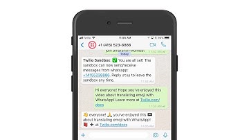 👉 Emoji translations with the 📞 Twilio API for 💬 WhatsApp and Node.js