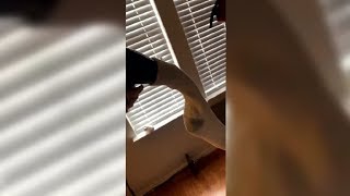 When The Weather Is Cold You Need To Do This! *Life Hack*