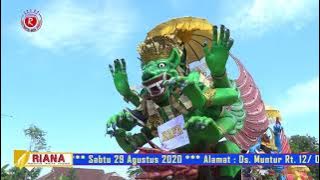 HAREUDANG - SINGA DANGDUT PUTRA PAI MUDA - MUNTUR 29 - 08 - 2020