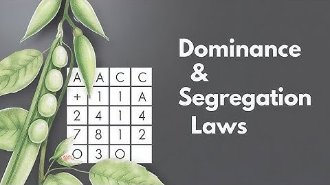 “Law of Dominance & Segregation Easy Explained with Example”|monohybrid cross|genetics| Inheritance 