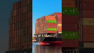 “YM UNICORN”🇹🇼 #shorts #shipspotting