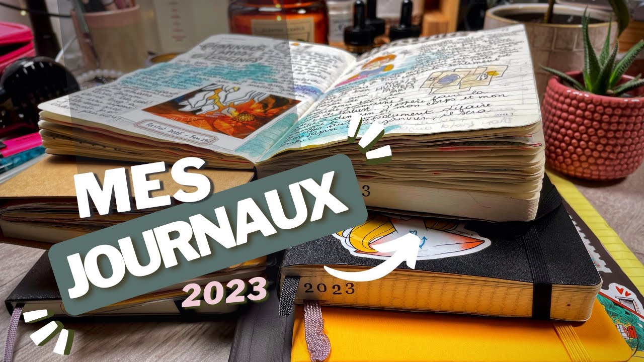 Mes journaux 2023 + feuilletage de mon Moleskine Daily !