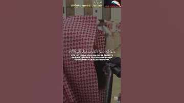 تلاوة تخطف القلوب للشيخ محمد اللحيدان