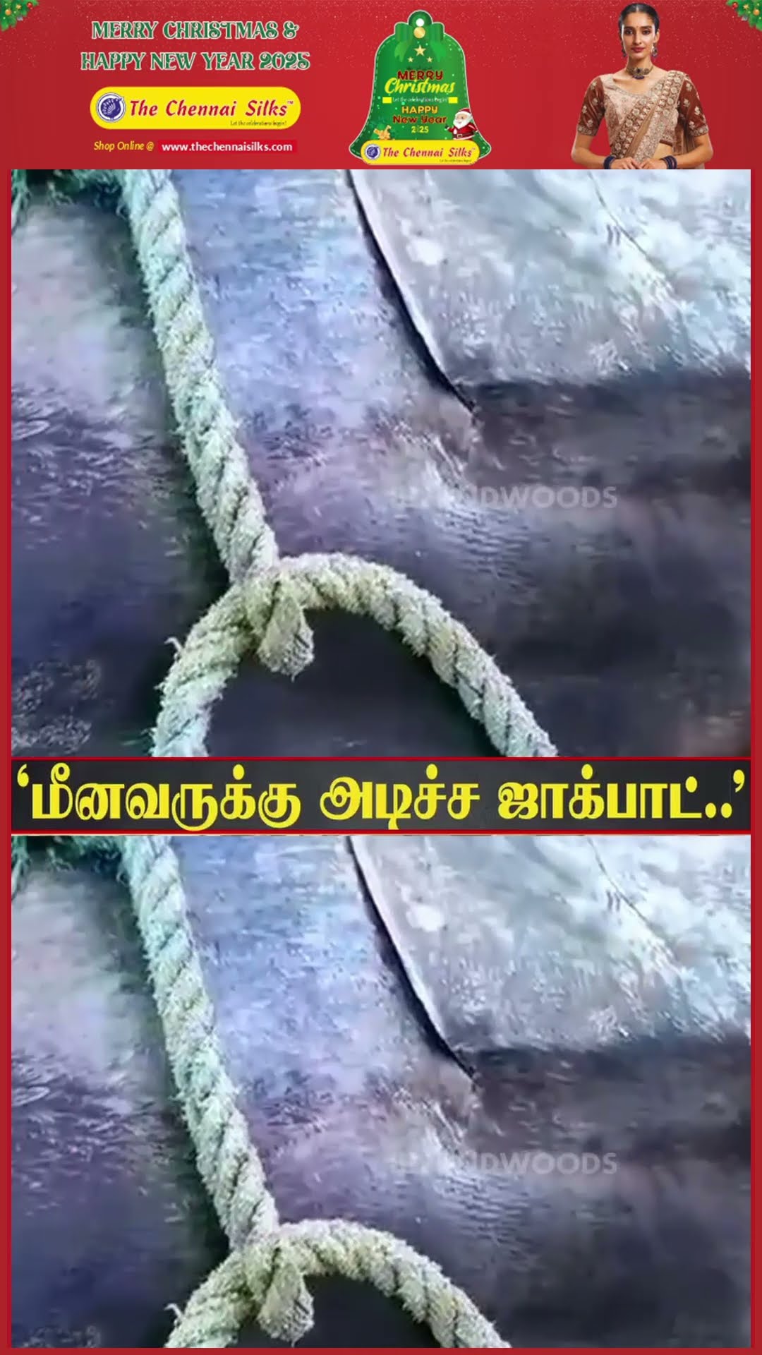 'வலையில் சிக்குன 400 கிலோ மீன்' ? மீனவருக்கு அடிச்ச ஜாக்பாட்