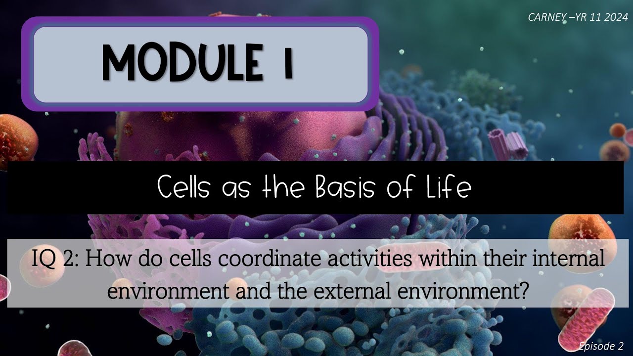Module 1 Episode 2 Cellular Function - YouTube