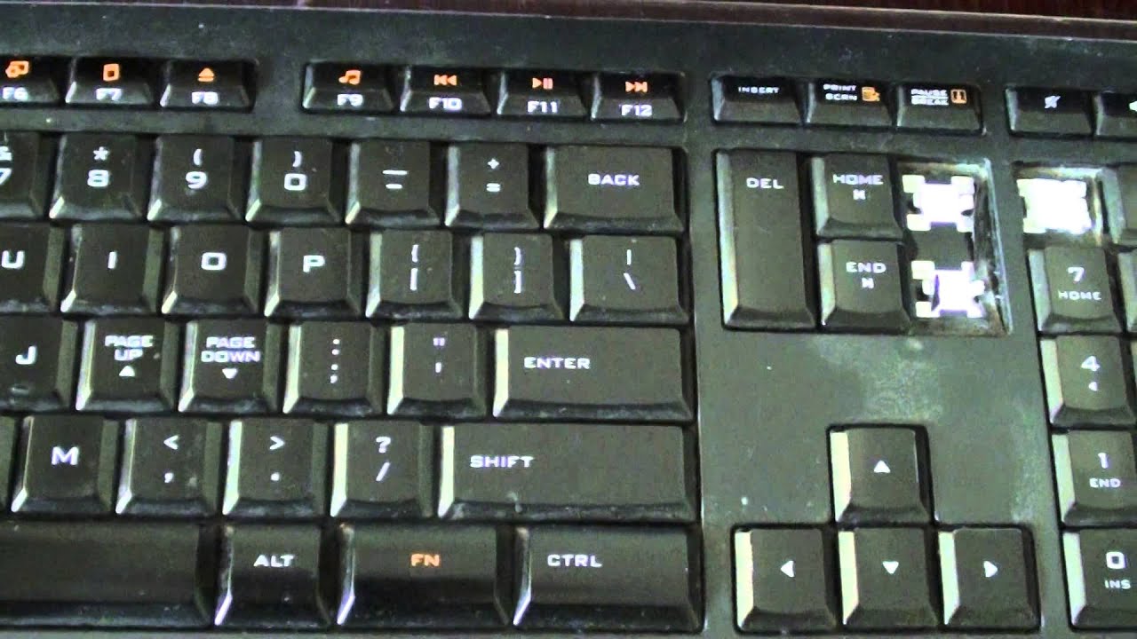 alene Tanzania Monet How to Enable Scroll Lock on the Logitech Keyboard - YouTube