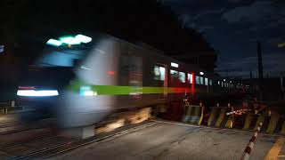 EMU900區間車通過八德茄苳路平交道
