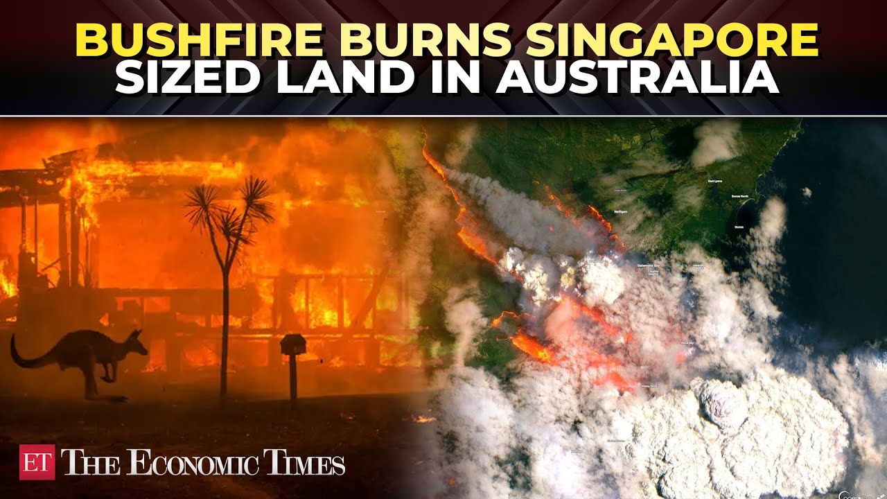 Australia's bushfire burns area the ‘size of Singapore’ as firefighters ...