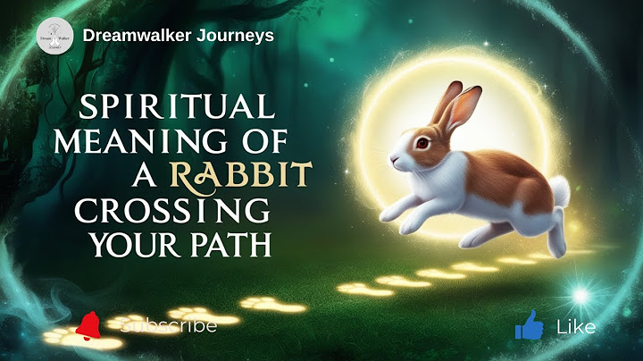 Spiritual Meaning of a Rabbit Crossing Your Path: Luck, New Beginnings & Divine Messages