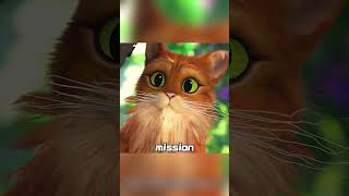 #shorts  #animation#cartoon Cats have nine lives _ but they are hunted down by death #funnycartoon