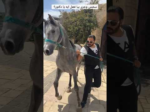 سحبنى وجرى بيا نعمل ايه يا دكتور ٦٠شو مع الدكتور حاتم ستين