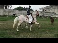 Horse riding training