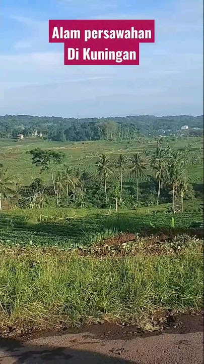 PERSAWAHAN KUNINGAN JAWA BARAT #storywa #shorts #short #status #statusvideo #statuswhatsapp