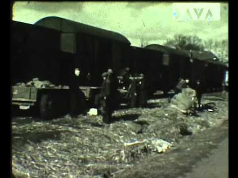 Assen, aardappeltransport per spoor 1950