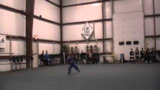 Louis Tiger Form Li Pei Yuns Tournament - 82512