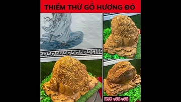 ❌truyền thuyết về cụ thiềm thừ ( cóc 3 chân )