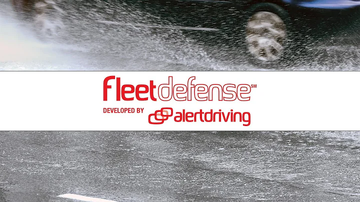 Driving in Adverse Weather Conditions Demo