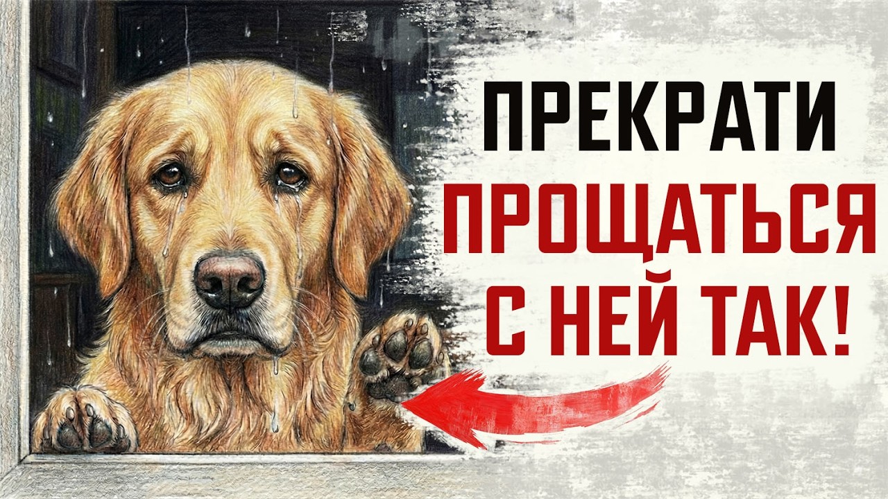 ПРЕКРАТИТЕ ПРОЩАТЬСЯ С СОБАКОЙ! Вы своими руками делаете ей БОЛЬНО
