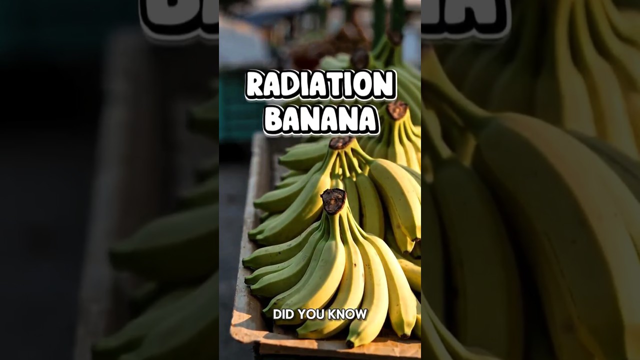 Bananas VS Nuclear Power: Shocking Radiation Fact 🍌⚡