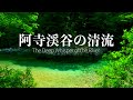 阿寺渓谷の清流音と周波数｜深い癒し・集中・睡眠に最適