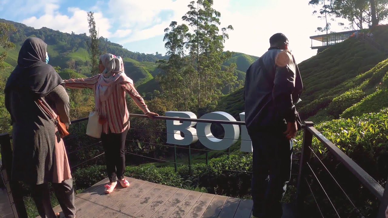 Ladang Teh BOH Sungai Palas - YouTube