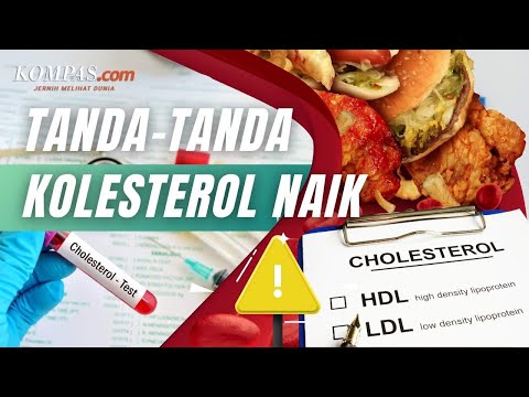 Kolesterol Laki Laki