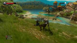 Witcher 3: Wild Hunt - Double Finishing Execution!