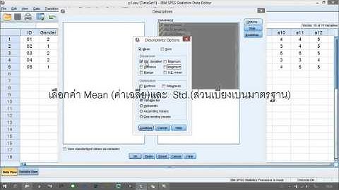 [SPSS เบื้องต้น] Part2 ค่าเฉลี่ยและส่วนเบี่ยงเบนมาตรฐาน Mean Std