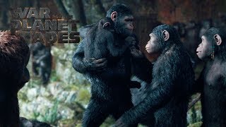 War for the Planet of the Apes | 