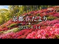 【春の京都】2026.4.14三室戸寺・長岡天満宮