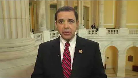 Congressman Henry Cuellar - Immigration and safety at the border