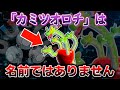 【ボールの違和感】カミツオロチは名前ではない