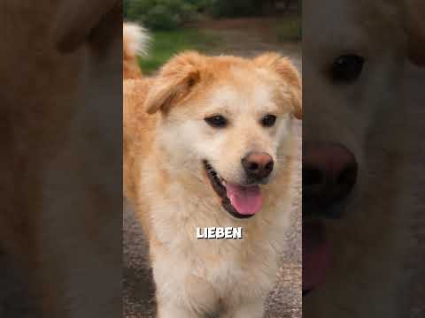 🧡 Aaron – leise gesehen und endlich angekommen