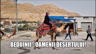 Beduinii - Oamenii deșertului!