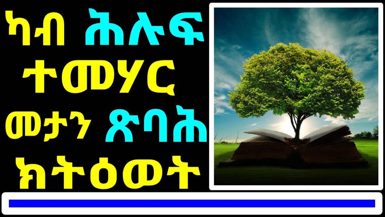 236) ካብ ሂወትና እንታይ ተማሂርና - 5 Lessons from Your Own Life Journey