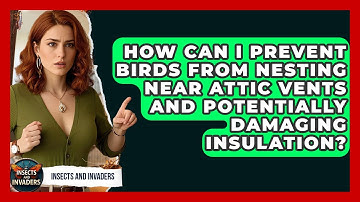 How Can I Prevent Birds From Nesting Near Attic Vents And Potentially Damaging Insulation?