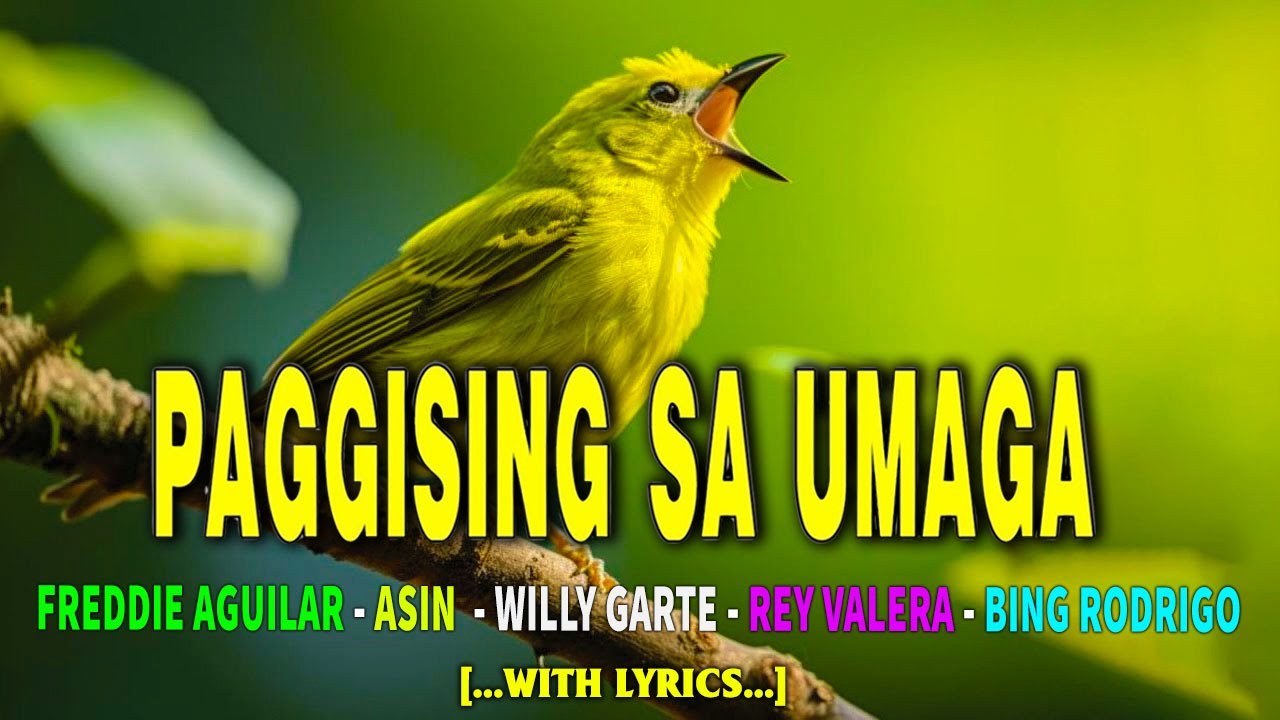 KANTANG PAMPASIGLA 🐓 Golden OPM Hits: Umaga'y Gaganda! || #OPM Playlist