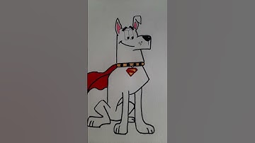 Superman 2025 Krypto Drawing