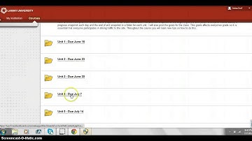 Unit 4 Video Assignment